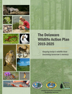 Cover of the Delaware Wildlife Action Plan document.