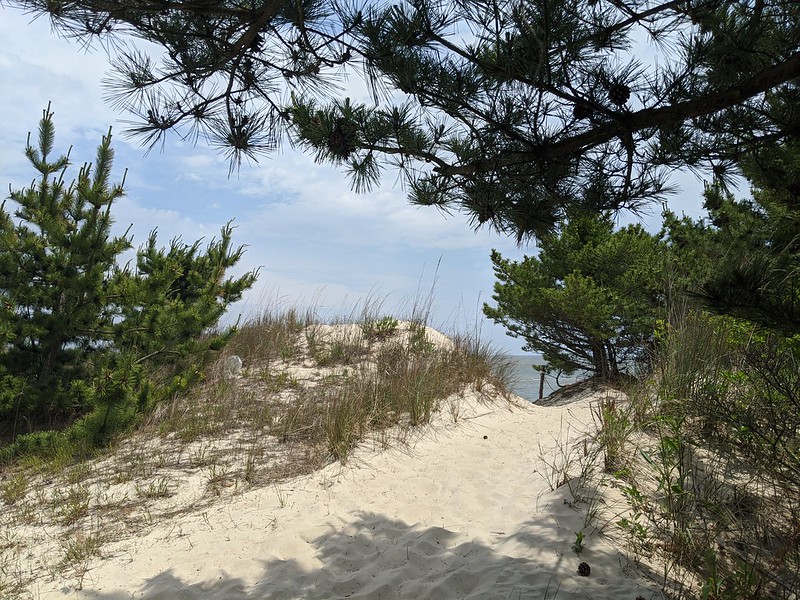 Photo looking through a gap in the dunes to open water.